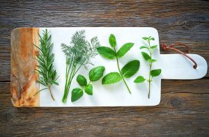 Plantas culinarias blog